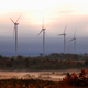 Image for article titled Windfall